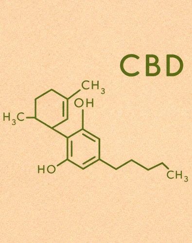 CBD